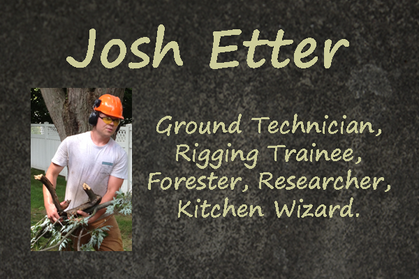 Tree Service Tree Care Tree Removal Tree Pruning : We're Growing